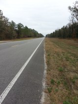 The Big Bend Scenic Highway. After 20 km on a bike, it stops being scenic as it cuts through vast Wildlife Management Areas.