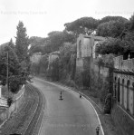 1956 viale del muro torto